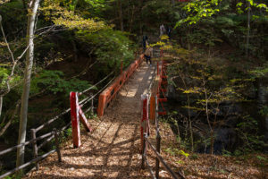 天然の要害、秋深まりゆく吾妻峡②