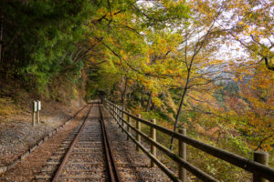ディープな大井川（１）　井川湖畔の廃線ウォーク　歴史を刻む線路跡