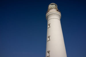 高校野球の季節がやってくると　銚子商業の校歌を思い出す