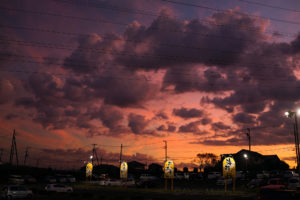 ピアニシモⅢでいく西伊豆　はとバスのススメ