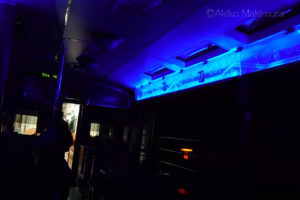 【６】トロッコ列車で走る草木トンネル　わたらせ渓谷鉄道の旅