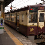 【１】桜と花桃　一日フリーきっぷで行く　わたらせ渓谷鉄道の旅