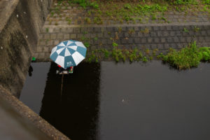 梅雨のびん沼川