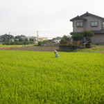 【３】幻の貨物線 安比奈線を歩く