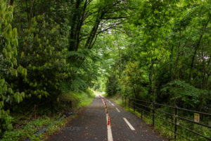 【前編】太平洋セメント東松山専用線　小ぬか雨の廃線探訪