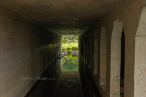 【中編】太平洋セメント東松山専用線　小ぬか雨の廃線探訪