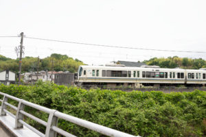 自然に還る鹿背山トンネル　大仏線番外編