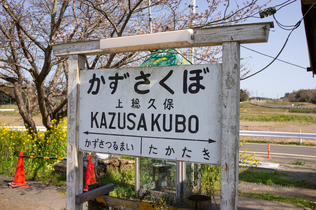 菜の花が咲き乱れる小湊鉄道の上総久保駅は無人駅です