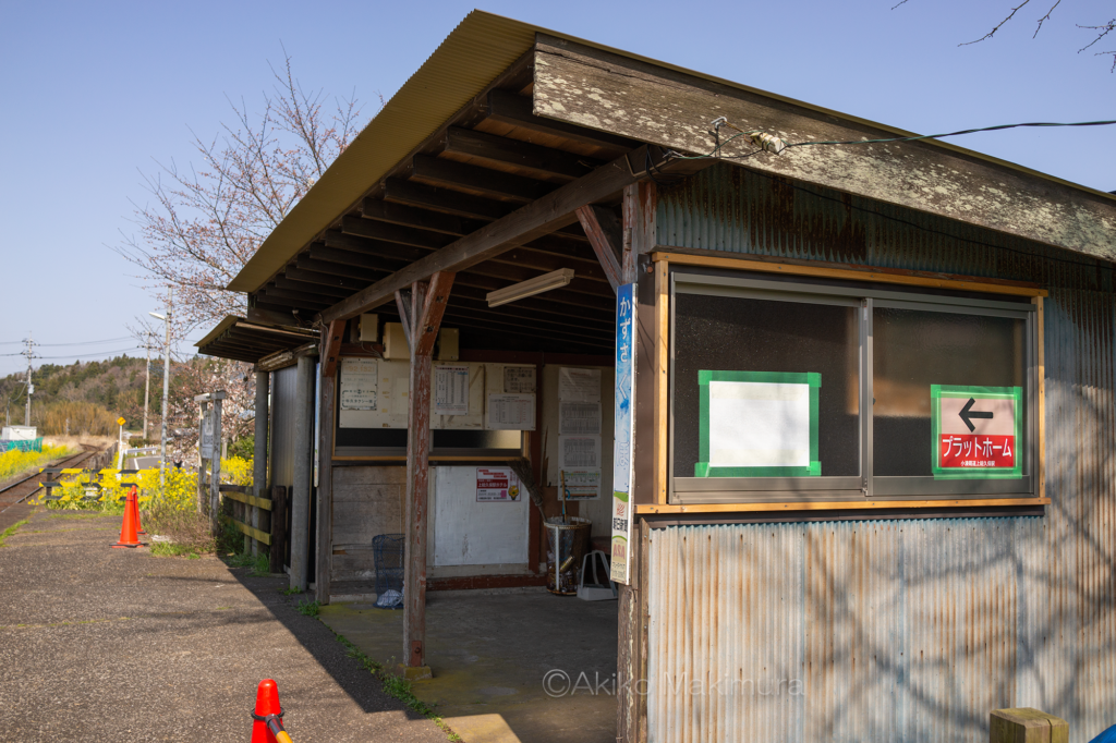 菜の花が咲き乱れる小湊鉄道の上総久保駅は無人駅です