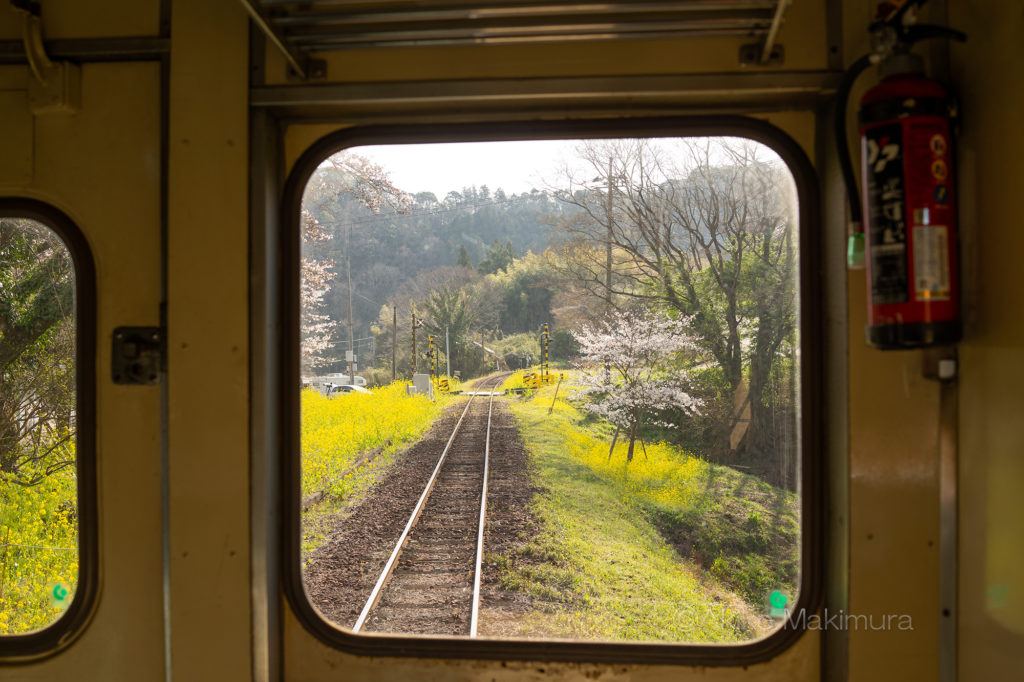 小湊鉄道、先頭車両からの眺め