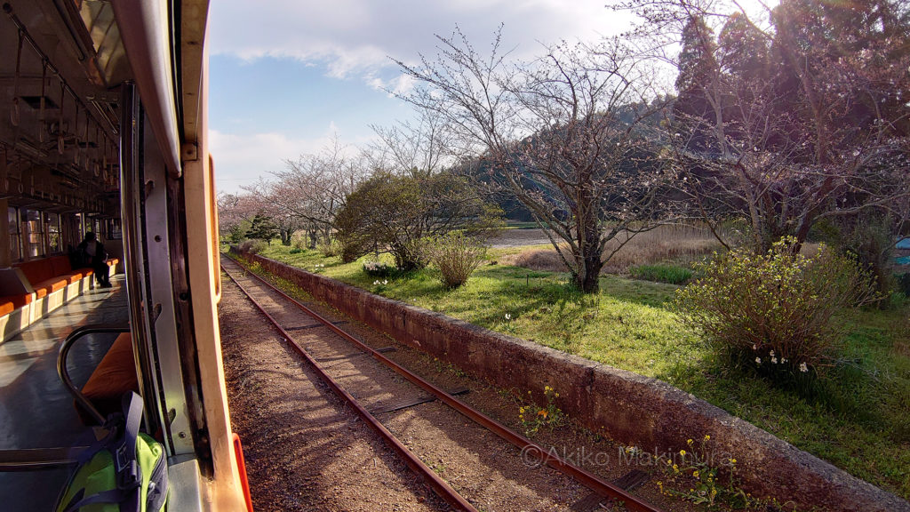 小湊鉄道の里見駅の使われなくなった旧ホーム