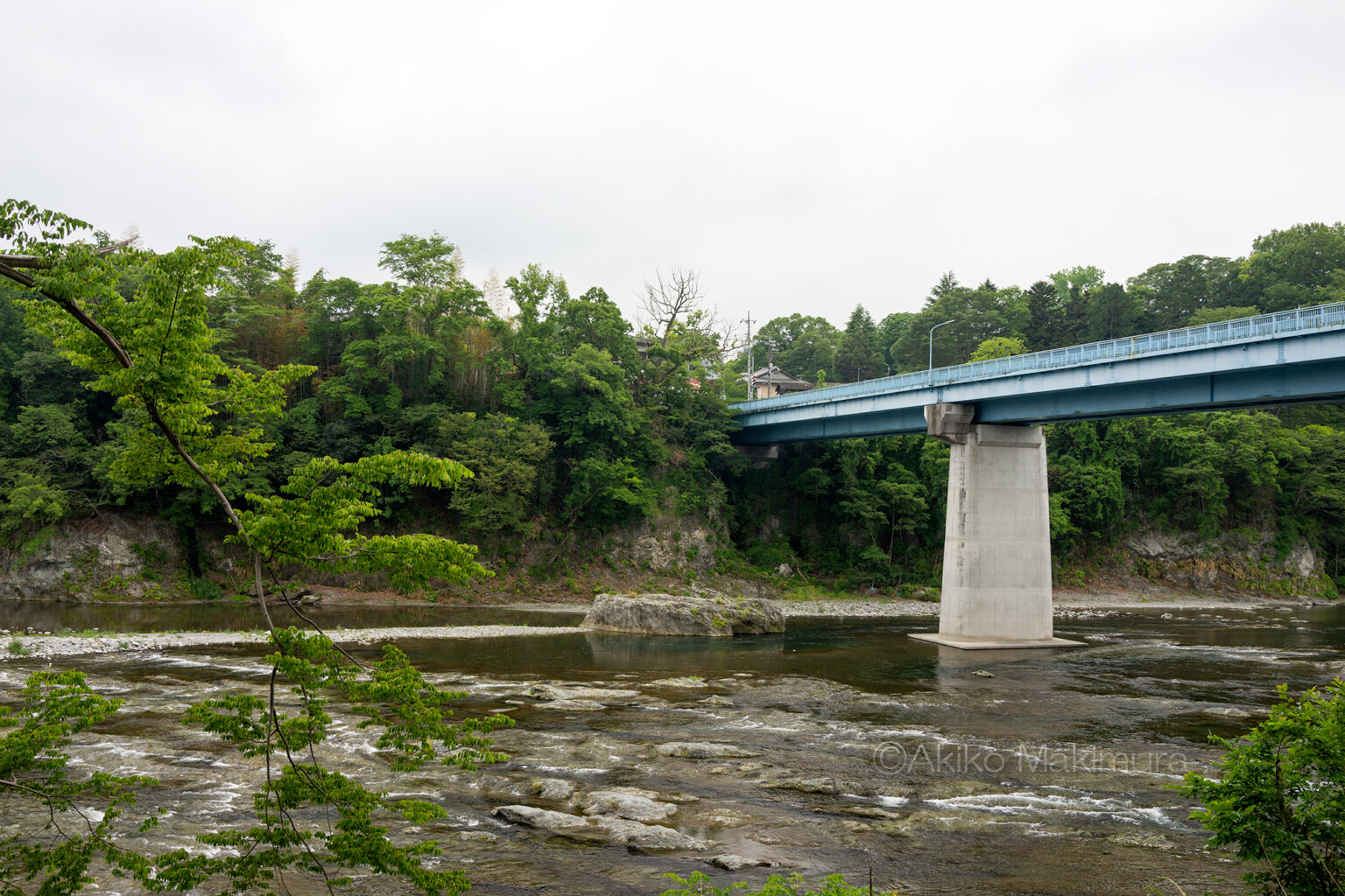 土地の名士が私財を投じて架けた橋 正喜橋の今昔物語 牧村あきこの「探検ウォークしてみない?」 廃線とダムと湿地とわたし