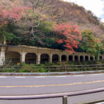 箱根駅伝でおなじみ　函嶺洞門と2つのレトロ橋　【2021年晩秋の箱根路】