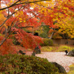 もみじ燃ゆる円通院