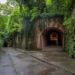 雨の日に行く「猿島」要塞　リアル・天空の城ラピュタの世界へ　　