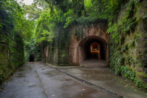 雨の日に行く「猿島」要塞　リアル・天空の城ラピュタの世界へ　　