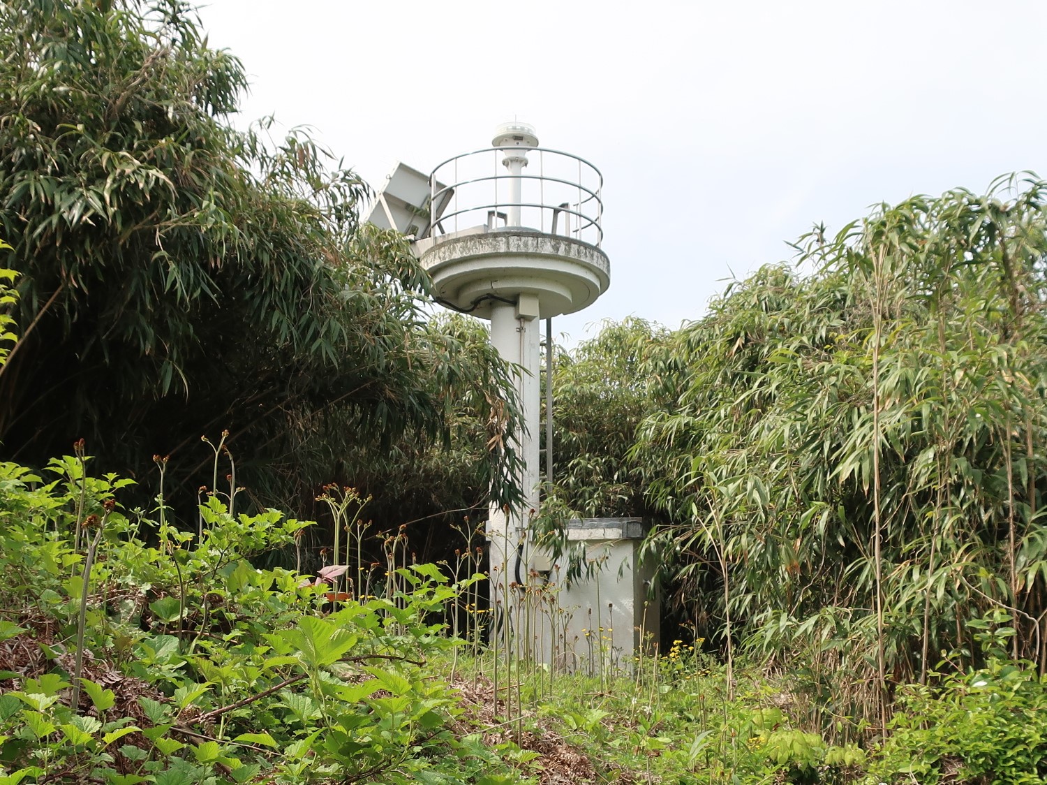 香住港城山灯台は歯ごたえあり、しかも優秀な“守衛”がいて容易に近づけない