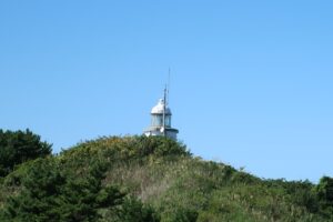 急坂と草むらと暑さ、陸奥大島灯台への片道30分はこれまでになく苦しかった