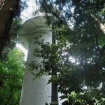 電気柵を越え、山道を上り、宮崎鼻灯台にたどり着いたら…