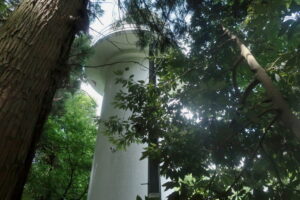 電気柵を越え、山道を上り、宮崎鼻灯台にたどり着いたら…