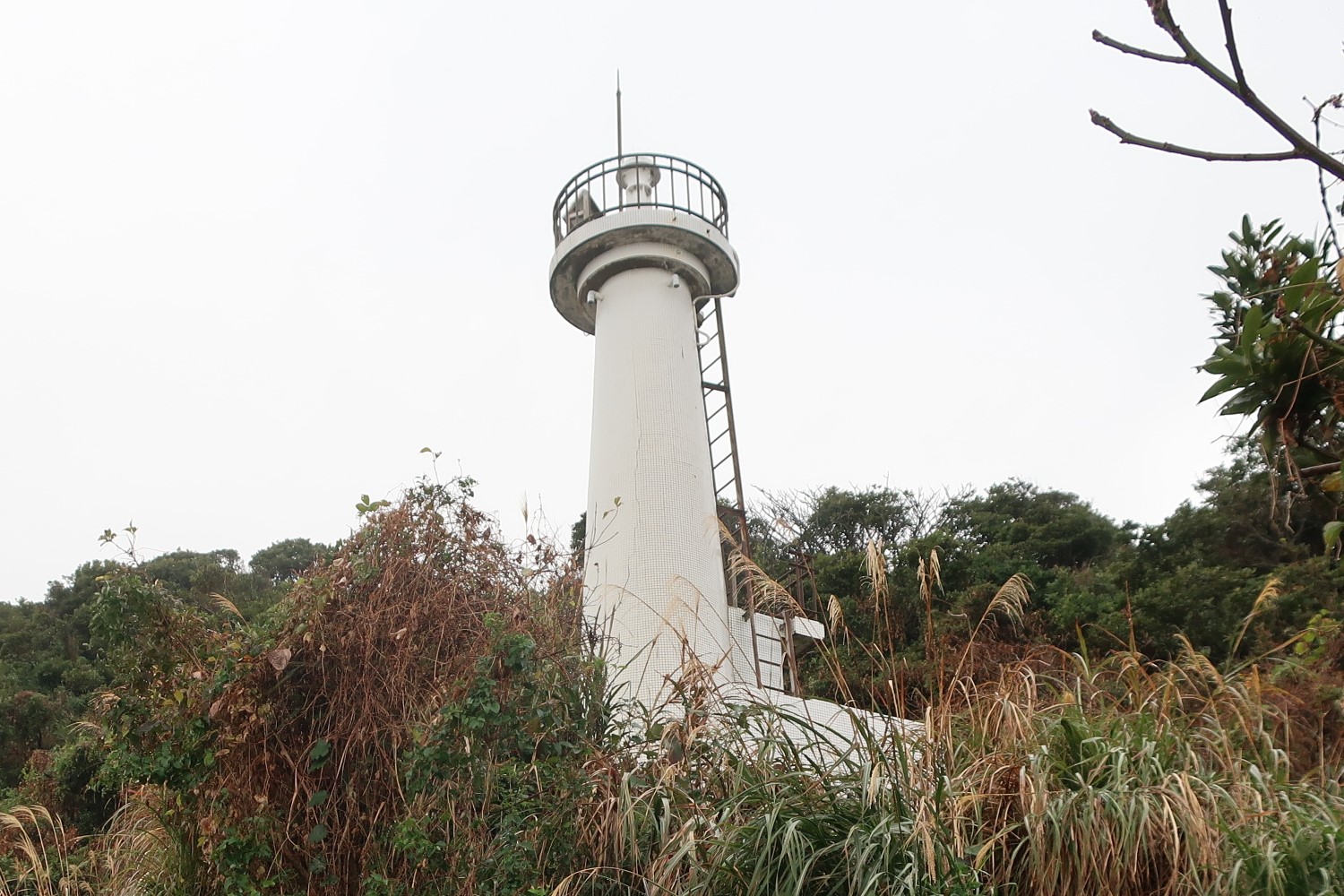 【南宮崎の灯台5＋1】  山道は避けたいが“ちょっと探検気分”を味わいたいなら巾着島灯台