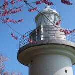 能登観音埼灯台は地元が守り、観音島は猫が守る