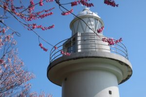 能登観音埼灯台は地元が守り、観音島は猫が守る