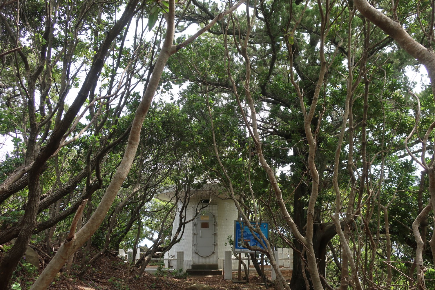 「天然記念物の島」にあるのは森と神社と江須埼灯台だけ