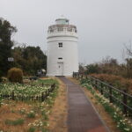 分岐が多い菅島灯台への道、おかげで帰りに大汗